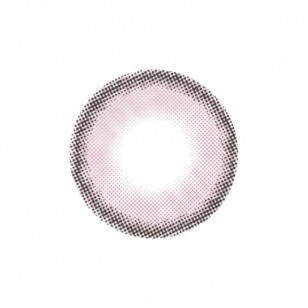 Lighly Rose Rose(日拋)